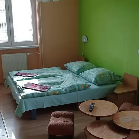 Salatin Guest house *
