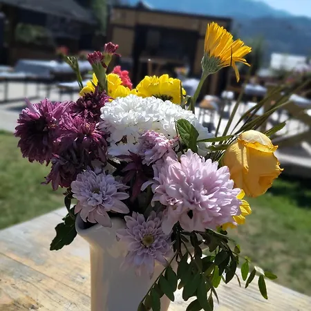 Salatin Maison d'hôtes 3*